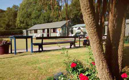scenic view of green with flowers